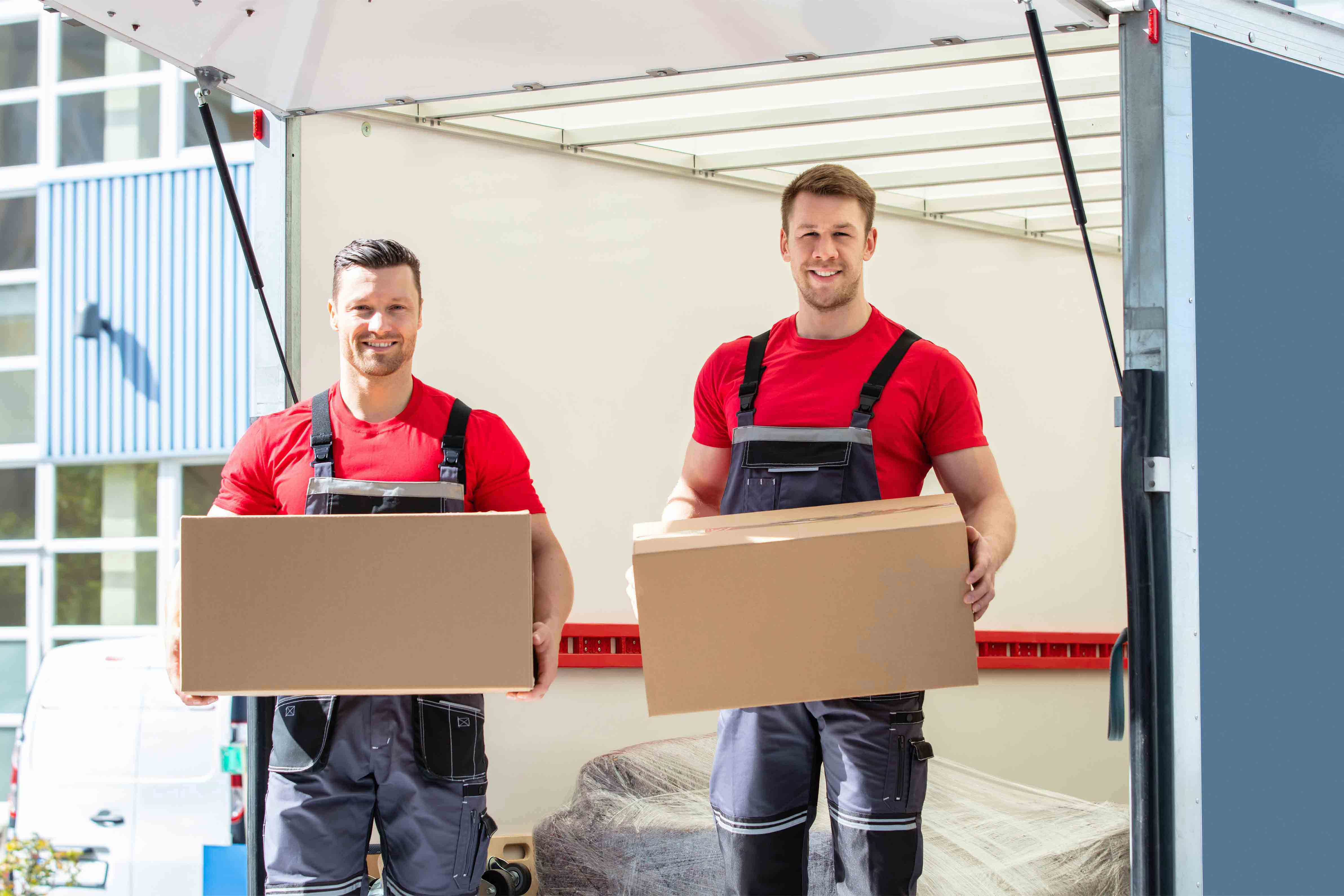 Big Stock Availability & Fast Delivery